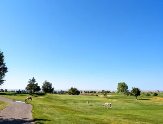 Casper Golf Club - Park/Links Course WY