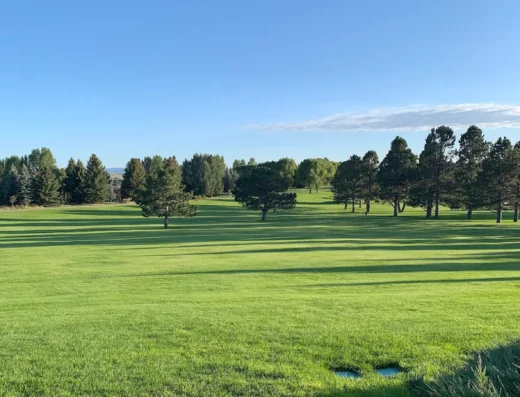 Old Baldy Club