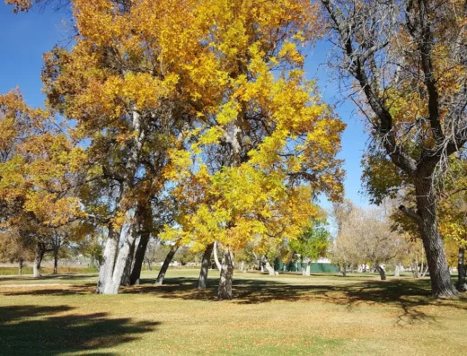 Trail Ruts Golf Course